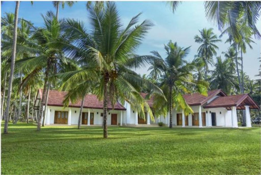 Coco Villa Peach Tree Katunayaka Exteriör bild
